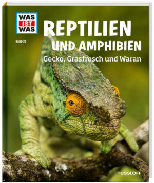 Sie sind Boten aus ferner Vergangenheit: Reptilien und Amphibien gehören zu den ersten Landlebewesen überhaupt. Was genau ist eine Amphibie und was ist ein Reptil? Wie wurde der Frosch vom Ekelpaket zum lustigen Wetterfrosch? Wie sorgt Mama Krokodil für ihre Babys? Und auf welche Weise erreichen Riesenschildkröten mitunter ein magisches Alter? WAS IST WAS begibt sich in eine geheimnisvolle Welt, stellt sich dem Rätsel der Drachen, sucht den Schuppenstar und gibt praktische Tipps zur Anlage eines Miniteichs.