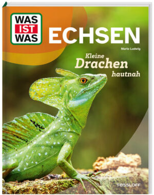 Echsen gehören zu den spannendsten und interessantesten Tieren überhaupt. Schließlich haben viele Vertreter dieser Reptilien Eigenschaften, die im Tierreich ziemlich einmalig sind. Für Geckos scheinen die Gesetze der Schwerkraft nicht zu gelten. Sie können nämlich an der Decke spazieren gehen. Stirnlappen-Basilisken wiederum können über das Wasser laufen. Chamäleons ändern blitzschnell ihre Farbe und setzen ihre lange Zunge als Waffe ein. Und damit nicht genug: Eidechsen werfen bei Gefahr problemlos ihren Schwanz ab! Welche Echse spritzt Blut aus ihren Augen und warum macht sie das? Und welche Echse ist eigentlich die schnellste? WAS IST WAS beantwortet all diese und viele weitere Kinderfragen auf Augenhöhe und zeigt die Welt der faszinierenden Tiere. Geeignet für Kinder ab 8 Jahren.