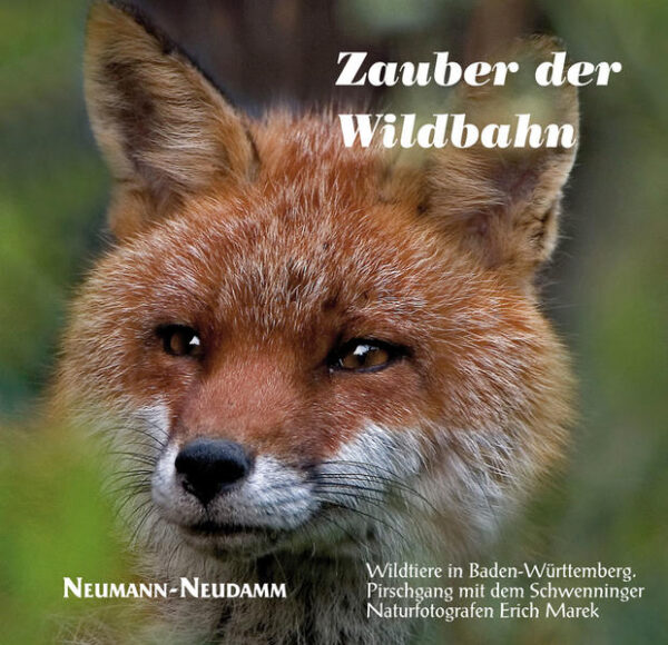 Einer der herausragenden Tierfotografen, der sich mit seinen außergewöhnlichen Aufnahmen europaweit einen Namen gemacht hat, ist Erich Marek. Er ist langjähriges Mitglied der Jägervereinigung Schwarzwald- Baar-Kreis, liefert seit 18 Jahren die Titelbilder für das Mitteilungsblatt des Landesjagdverbandes „Der Jäger in Baden-Württemberg“ und gibt seine Erfahrungen in vielen Ländern bei Kursen und Vorträgen weiter. Als erfahrener Jäger kennt Marek das Verhalten des Wildes besonders gut und weiß, wann, wo und wie er das gewünschte Motiv am besten „erbeuten“ kann. Einige seiner wohl eindrucksvollsten Fotos hat Erich Marek für dieses Buch ausgewählt. Dieses Buch möchte nicht nur den Artenreichtum in Baden-Württemberg unterhaltsam dokumentieren, sondern mit den begleitenden Informationen auch ein Türöffner zu den Geheimnissen unserer heimischen Natur sein. Dr. Dieter Deuschle, Landesjägermeister