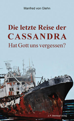 Am Heiligen Abend des Jahres 2013 stieß der japanische Fischtrawler "Akita Maru" im südlichen Atlantik auf eine geschlossene Rettungsinsel mit der Aufschrift "Leonardo". Darin fand man drei Männer und eine Frau. Sie waren offensichtlich tot. Neben der Frau lag ein kleiner Hund, der schwache Lebenszeichen von sich gab. Außerdem fand man einige Gegenstände - darunter ein funktionsfähiges Notebook. Es enthielt nur eine Datei: "Richard Wagner / Tagebuch". Bei der Lektüre stellt sich die drängende Frage, ob Gott sich für das individuelle Schicksal der Menschen interessiert.