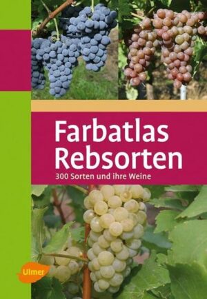 Alle wichtigen Rebsorten auf einen Blick - 300 Rebsorten aus aller Welt - Farbe, Größe und Form der Trauben und Blätter - Mit vielen Synonym-Bezeichnungen für den Weinliebhaber Dieses Buch stellt in übersichtlicher Form die 300 wichtigsten Rebsorten der 60 größten Rebanbauenden Länder der Erde vor. Erfahren Sie mehr über die Herkunft, Verbreitung, Merkmale, Eigenschaften und den Charakter der Weine oder der Tafeltrauben. Ganz wesentlich für den Weinliebhaber sind auch die vielen Synonyme, denn nicht jeder weiß, dass beispielsweise Gutedel, Chasselas und Fendant identisch sind.