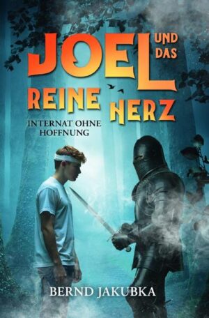 Nachdem er auf die schiefe Bahn geraten ist, wird Joel zur Therapie nach Drachenfels geschickt, einem Internat für schwer erziehbare Jugendliche. Gefühlskalte Erzieher und Mitschüler machen ihm hier aber bald das Leben zur Hölle. Zum Glück findet er auch neue Freunde. Sein Zimmergenosse Arnold hat ebenfalls mit einer schweren Vergangenheit zu kämpfen. Ihre nächtlichen Raucherpausen auf dem Internatsturm bringen die beiden näher und lassen Joels Herz höher schlagen, doch bergen sie auch Gefahren: Ein gespenstischer Ritter treibt auf dem Internatsgelände sein Unwesen und hat es auf das Reine Herz abgesehen. Joel muss herausfinden, was sich hinter dem Spuk auf Drachenfels verbirgt, bevor der Ritter ihn zu fassen bekommt. Beginn der packenden Fantasy-Trilogie