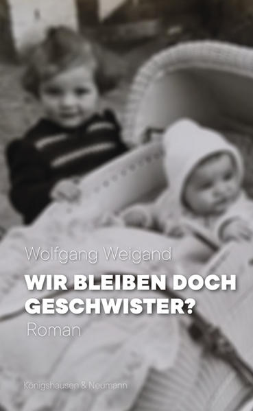 Ein Vater stirbt und hinterlässt zwei Kinder. Klemens und Regina sind Geschwister, wie sie unterschiedlicher nicht sein können. Die wachsende Fremdheit zwischen beiden bringt den Sohn immer mehr zum Zweifeln über das, was damals zwischen ihrer Mutter und dem mittlerweile verstorbenen Onkel, dem Bruder seines Vaters, geschah. Die ungleichen Brüder blicken auf sehr gegensätzliche Biographien zurück: während Onkel Richard als großer Brückenbauer und schöngeistiger Kunstmäzen prominent wurde, musste Vater Walter aus Gründen der Familienraison ungebildet in seinem engen bäuerlichen Leben zurückbleiben. Diese Geschichte ist nicht nur ein kleines Denkmal für einen Verstorbenen, sondern auch die Schöpfungsgeschichte eines Neubeginns. In sieben Tagen, zwischen Todesnachricht und Beerdigung, erzählt sie von der Fremdheit in familiären Beziehungen, aber auch vom Suchen nach der eigenen Identität und der Trauer über verlorene Gewissheiten. Nach "Sterbelos" und "Maria erscheint" ist "Wir bleiben doch Geschwister?" der versöhnende Abschluss einer fränkischen Trilogie, in der immer wieder das katholisch-konservative Milieu beschrieben wird, aber auch der Weg der Protagonisten aus der Enge heraus.