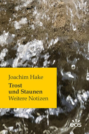 „Wo möglich, das Komplizierte meiden und das Einfachere wählen. Das Leben ist kompliziert genug, und die Komplikationen brauchen uns nicht, um sich einzustellen.“ Weitere Notizen, Aphorismen und Lesefunde. Rätselhaft und ermutigend.