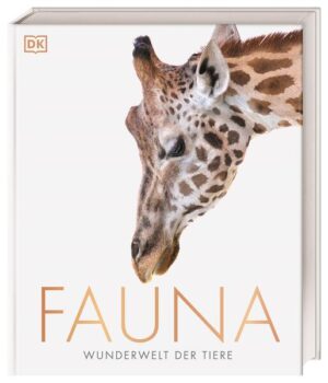 Eine visuelle Reise durch die Tierwelt Eine Hommage an die Schönheit der Fauna! Dieses Tierbuch zelebriert die faszinierenden Besonderheiten der Tierwelt. Über 1.400 brillante Tierfotografien und Illustrationen präsentieren Ihnen eindrucksvoll die Vielfalt der Tierarten mit all ihren verschiedenen Formen, Größen & Körperteilen. Dabei erfahren Sie spannende Fakten wie zum Beispiel: Wie spüren Delfine ihre Beute auf? Wie können manche Tiere ihre Farbe ändern? Wie reagiert die Kragenechse beim Revierkampf? Die faszinierendsten Tierarten auf über 300 Seiten Vom Skelett über die Hautbeschaffenheit bis zur Fortbewegung - jede Tierart besitzt ganz individuelle Merkmale sowie eine eigene Überlebensstrategie, die perfekt auf ihre Umgebung abgestimmt ist. Entdecken Sie die faszinierendsten Phänomene der Tierwelt mit diesem beeindruckenden Bildband und Nachfolger des Bestsellers "Flora". Auf den Spuren der tierischen Evolution: • Bemerkenswerte visuelle Darstellung. • Spannende Fakten über Tiere. • Tiere in der Kunst. Die Vielfalt der Tiere ästhetisch in Szene gesetzt - tauchen Sie mit diesem Tierbuch ein in die faszinierende Tierwelt. Das perfekte Geschenk für alle Tierfreunde!