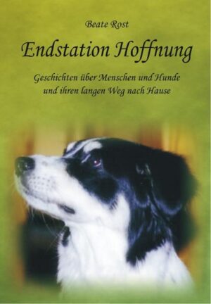 "Tierschutz muss nicht zwangsläufig bedeuten, sich einer Organisation, einem Verband oder Verein anzuschließen. Tierschutz beginnt im Kleinen, indem ich mich mit sehenden Augen, helfenden Händen und offenem Herzen für die Hilfesuchenden und Verlassenen einsetze, wann und wo immer sie mir begegnen", sagt Beate Rost und beschreibt in zwölf unterhaltsamen Kurzgeschichten, wie vielfältig die Möglichkeiten für jeden Einzelnen sind zu helfen. Sie erzählt unter anderem die Geschichte von Melodie, einer kleinen, blinden Kettenhündin. Sie erzählt von Hasso, einem stolzen Wachhund und von Sandy und Terry, zwei Welpen, die auf einer Bauschuttdeponie "entsorgt" wurden. Sie lässt eine ausgesetzte Hündin selbst erzählen, von ihren Empfindungen, ihren Ängsten, ihren Erlebnissen. Und sie lädt den Leser ein, am Alltag einer Tierheimleiterin teilzuhaben. Lassen Sie sich entführen in die Welt von Melodie, Rubio, Aika und all den anderen, lassen Sie sich berühren von ihren Schicksalen, ihrem Leid und ihrer Hilfsbedürftigkeit, genauso wie von ihrer Rettung aus Elend und Not, die eben manchmal (denn auch das heißt Tierschutz in seiner schönsten Form!) auch den Beginn eines neuen, unbeschwerten Lebens in Liebe, Sicherheit und Geborgenheit bedeutet.