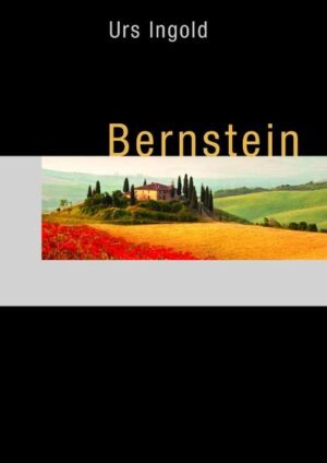 Maximilian Bernstein fühlt sich hin- und hergerissen zwischen seinem Alltag als Geschäftsführer einer internationalen Messegesellschaft und seinen nächtlichen Erlebnissen. Merkwürdige Träume zwingen ihn in Dialoge über das Sein und Nicht-Sein mit einem mysteriösen älteren Herrn. Offenbar kann dieser mühelos zwischen Zeiten und Dimensionen wandeln. Gleichzeitig bereitet der Oligarch Marmirov die Übernahme einer deutschen Messe vor. Ein geheimnisvoller Russe taucht unerwartet auf. Er glaubt zu wissen, dass Marmirov der eigentliche Kopf der Russenmafia sei und mit der Messeübernahme ein Schlupfloch nutze, um Geld zu waschen und in ganz neue Gefilde vorzudringen. Ein Drama, in das auch die Politik verstrickt ist, nimmt seinen Lauf.