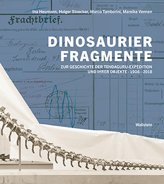 Dinosaurierfragmente | Bundesamt für magische Wesen