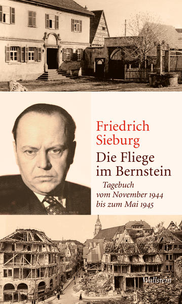 Die Fliege im Bernstein | Friedrich Sieburg