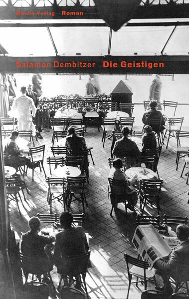 Einer dieser wunderbaren Berlin-Romane der 20er Jahre, von denen man gar nicht genug lesen kann! Er spielt im kulturellen Herzen der Stadt, teilweise im 'Romanischen Café', das hier 'Harmonisches Café' heißt und in dem es ganz und gar nicht harmonisch zugeht. Geschildert wird der Abstieg einer jungen Frau aus wohlhabender Bremer Familie, die in einem Sanatorium den Schriftsteller und Arzt Abel Driglin kennenlernt und ihm nach Berlin folgt. Dort verstößt sie ihn bald und macht Karriere als Domina eines Feuilletonchefs, den sie jedoch versehentlich zu Tode peitscht. Als sie mit einer Geschlechtskrankheit darniederliegt, sucht sie Hilfe beim zuvor geschmähten und gedemütigten Driglin