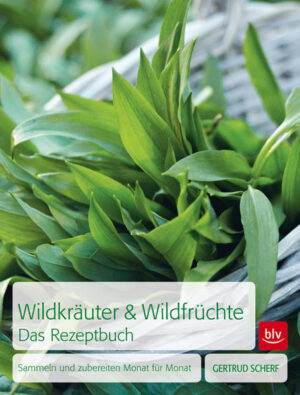 Das Wildpflanzen-Rezeptbuch mit Gliederung Monat für Monat · Köstliche Gerichte mit frisch gesammelten Kräutern und Früchten · Steckbriefe der verwendeten Wildpflanzen, Brauchtum.