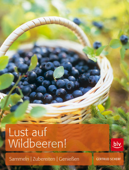 Silbern überhauchte Heidelbeeren, winzige Walderdbeeren mit betörendem Duft, würzig-herbe Holunderbeeren: Diese Köstlichkeiten kann man in Wald und Flur entdecken. Und es gibt noch viele andere Wildbeeren, die zum Verzehr geeignet und dazu äußerst schmackhaft sind. Es lohnt sich, Ebererschen-Birnen-Gelee einmal auszuprobieren. Oder eine Hagenbuttensuppe zu kosten. Oder Schlehenlikör selbst anzusetzen. Unvergleichliche Geschmackserlebnisse sind zu erwarten! "Lust auf Wildbeeren" (BLV Buchverlag) stellt essbare Wildbeeren im Porträt vor - mit Hinweisen auf ihre giftigen Doppelgänger. Viele Rezepte geben Anregungen, wie man die selbst gesammelten Beeren so zubereiten kann, dass sie ihr intensives, frisches Aroma besonders gut entfalten. Vorgestellt werden Zubereitungen für Salate und Suppen, Hauptspeisen, Desserts, Kuchen, Torten, Konfekt, Saft, Gelee, Mus und Konfitüre. Auch Haustee, Wein, Likör, Aromatisches und Pikantes verführen den Gaumen. Dazu gibt es Tipps zum Konservieren durch Tiefgefrieren und Trocknen. Die Sammelübersicht zeigt die Wildbeeren auf einen Blick und hilft, mögliche Verwechslungen auszuschließen. Dr. Gertrud Scherf war Wissenschaftliche Mitarbeiterin am "Institut für die Didaktik der Biologie" der Universität München.Als Sachbuchautorin ist sie insbesondere in den Bereichen Natur und Garten tätig. Die kulturgeschichtlichen Aspekte der Themen sowie der Naturschutz sind der Autorin besonders wichtig. Sie verdeutlicht dies in ihren Büchern und Artikeln, bei Vorträgen, Seminaren und Führungen.