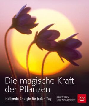 Die spirituelle Energie der Wildpflanzen und ihre Verwendung für Küche und Gesundheit. Für jede Jahreszeit: die passenden Pflanzen, kraftspendende Rezepte, Magie, Rituale und Mythen, heilende Tees, Öle, Räucherwerk und vieles mehr.Frühling: Erwachen und Neubeginn. Sommer: Das pralle Leben. Herbst: Ruhe und Einkehr. Winter: Werden und Vergehen.