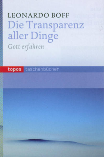 Transparenz bedeutet die Gegenwart Gottes in der Welt und der Welt in Gott. Dabei verändert diese Gegenwart die Welt. Sie, die zunächst etwas rein Inmanentes ist, wird zu einer transparenten Größe gemacht. Gott taucht auf und gibt sich mittels Mensch und Welt zu erkennen. Damit sind aber diese transparent für Gott. Er ist real greifbar, weil er weder außerhalb noch oberhalb der Welt lebt, sondern im Herzen der Welt und über die Welt hinaus. Die Welt ankert in Gott. Wer kühn genug ist, könnte sagen: Die Welt ist der sichtbare Körper Gottes.