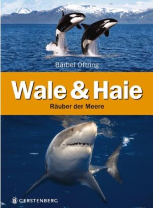 Welches Kind liebt nicht Flipper, den klugen Delfin? Oder hat mit dem Orca Willy gebangt, ob ihm die Flucht in die Freiheit gelingt? Viel faszinierender noch als die tierischen Filmstars sind die frei lebenden Haie, Wale und Delfine. In diesem Buch zeigt uns die Biologin Bärbel Oftring die Wunderwelt der großen Meeresbewohner und stellt uns die interessantesten Arten von Hammerhai bis Schwertwal vor. Wir erfahren außerdem, warum viele Wal und Haiarten gefährdet sind und was zu ihrem Schutz unternommen wird. • Aktualisierte Neuauflage • Illustrationen von Julie Sodré und viele Fotos • Experteninterviews mit Verhaltensbiologen und dem Präsidenten von SHARKPROJECT e.V. • Karten, Schaubilder und Grafiken • Mit Glossar und Entdeckertipps