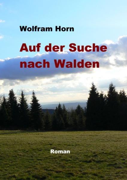 Auf leichte Art bietet sich hier ein philosophischer Unterhaltungsroman, in dem Abenteuer und Humor mit Gedankentiefe und Weisheit zu einer interessanten Geschichte verbunden wurden. Von einem verträumten, naiven Kind entwickelt sich die Romanfigur Wolfgang Holm über den Weg eines, nur an amourösen Abenteuer interessierten Jugendlichen, zu einem Liebhaber der Literatur und des Geistes. Um sich ohne äußere Zwänge ganz dem Studium des Lebens und der Natur widmen zu können, beschließt er auszusteigen. Doch sein Weg verläuft weniger romantisch als er sich das vorgestellt hat. Äußere und innere Abenteuer, amüsante, erhabene, doch auch enttäuschende Erfahrungen bestimmen seinen Lebensweg. Nach und nach reift Wolgang zu einem spirituellen Sinnsucher heran, der hinter die Kulissen des Lebens schauen möchte. Ein tiefgreifendes Ereignis führt dazu,dass es ihm gelingt, den Schleier, der das Mysterium des Lebens umgibt, ein wenig anzuheben.