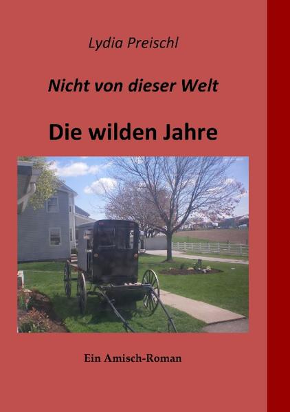 Markus Troyer ist Amisch. Er lebt mit seiner den Old Order Amisch zugewandten Familie in Pennsylvania im Osten der USA. Die Enge der kleinen, konservativen Glaubensgemeinschaft bedrängt ihn zusehends. Während seiner Orientierungsjahre lernt er das Leben „draußen“ kennen. Er bricht aus und muss in der Welt der „Englischen“ lernen, sich zurechtzufinden. Die Sehnsucht nach der behüteten Welt seiner Heimat bringt ihn mehr als einmal nahe daran, all das, was er sich erarbeitet hat, aufzugeben. Doch dann scheint es, als würde ihm das Schicksal die Entscheidung abnehmen...