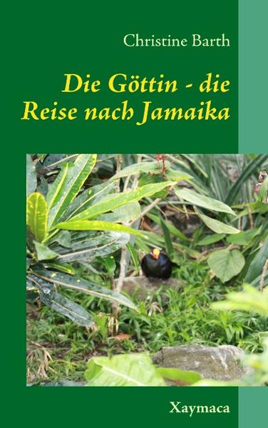 Im dritten Teil der "Göttin" auf Reisen, schildert die Autorin, für alle Freunde des Romans, phantasievoll und doch realitätsbezogen die karmische Verknüpfung ihres "Magiers", des spirituellen Gefährten Herr O. mit ihrer eigenen Entwicklung des Seins. Am Ende gibt es wahrlich eine magische Überraschung, die durch die Berechnungen der Numerologie und die Auflösung des Lebenskarmas erst möglich wird. Eine weitere magische Reise für alle Esoteriker und Philosophen und die, die es werden wollen.