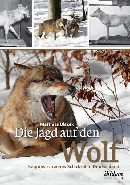 Die Jagd auf den Wolf | Bundesamt für magische Wesen