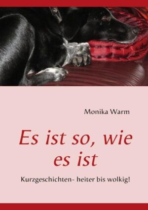 Geschichten, die das Leben schreiben könnte. Dieses Buch mit seinen 18 Kurzgeschichten lädt zum schmökern, nachdenken und träumen ein.Den Alltag mit Phantasie gespickt, das findet man in dieser Lektüre. Es ist so, wie es ist.