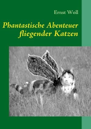 Phantastische Abenteuer fliegender Katzen | Bundesamt für magische Wesen