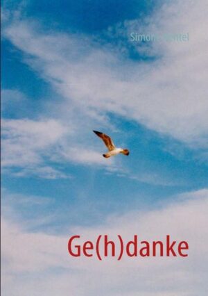 Renana ist eine Suchende. Mit Sunny findet sie Antworten und mit Fernandes die Liebe. Doch ihr Himmel verändert sich. Sie geht durch ihre eigene Hölle und erkennt schließlich größere Zusammenhänge.Ein Buch der Gedanken über das Leben, die Liebe und den Tod.