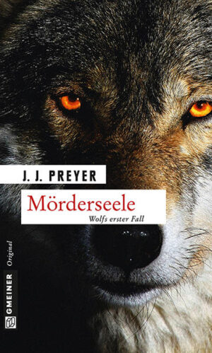 Mörderseele Ein musikalisch-literarischer Psychothriller | J.J. Preyer