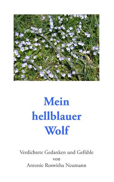 Mein hellblauer Wolf | Bundesamt für magische Wesen
