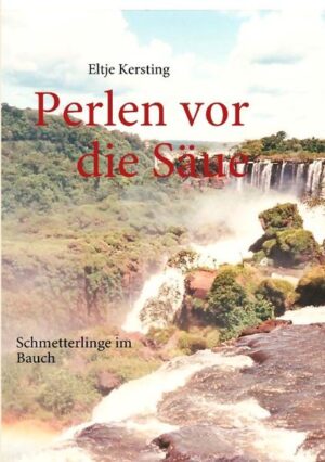 Dieser Roman handelt von einer Frau in den besten Jahren, die sich zusammen mit ihrer Freundin den Traum einer Kreuzfahrt erfüllt. Auf dieser zauberhaften Reise zu den Sehenswürdigkeiten Südamerikas lernt sie einen Mann kennen. Trotz einer großen Enttäuschung hat sie den Glauben an die Liebe nicht verloren. Sie erlebt faszinierende Augenblicke der einzigartigen Natur und wunderbare Stunden an Bord des Kreuzfahrtschiffes.