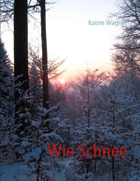 Lily Kennedys Leben ist chaotisch, genau wie sie selbst.Planlos, ziellos und orientierungslos meistert sie ihren Alltag so gut sie kann.Chaotisch ist auch der Beginn ihrer Freundschaft zu Dean Guerin, den sie in einem Krankenhaus kennen lernt. Sein Leben verläuft nach klaren Linien und Regeln.Doch so unterschiedlich ihrer beider Leben auch sind, umso stärker fühlen sie sich zueinander hingezogen.Als Lily soweit ist, alle Ängste und Probleme hinter sich zu lassen, zeigt sich jedoch, dass auch Dean Geister in seiner Vergangenheit hat, die es zu bewältigen gilt.