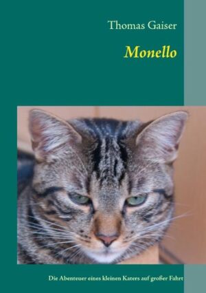 Monello ist ein unternehmungslustiger Kater. Um eine Katzendame zu beeindrucken, geht er unfreiwillig auf große Fahrt, um Neues aus der Welt zu erfahren. Die warmherzige Geschichte erzählt seine Italienreise. Eine Erzählung von außergewöhnlichen Freundschaften und unerwarteten Abenteuern.