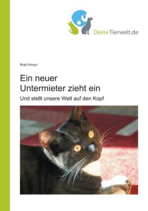 Ein kleiner Kater kommt in eine Familie, die bis dahin nur Hunde kennt, und das überraschend. Das gemeinsame Kennenlernen wird hier in Kurzgeschichten beschrieben. Wie sich die Freundschaft zwischen Hund und Katze entwickelt, und wie Frauchen und Herrchen das neue Familienmitglied erleben und verstehen lernen, und dabei ihre Liebe zu Katzen entdecken. Dabei sind sehr lustige Geschichten aus der Situation heraus entstanden. Alle Geschichten sind wahr und wirklich erlebt und genau so geschehen, wie sie aufgeschrieben wurden. Es finden sich auch Geschichten, die nicht direkt mit dem neuen Familienmitglied zu tun haben, aber die es wert waren, einen Platz in diesem Buch zu finden. Ebenso findet sich das erste halbe Jahr des zweiten Katers in diesem Buch, welcher nach einem Unfall des Hundes in die Familie kam. Das Buch ist aus der Sicht der Halterin erzählt und enthält viele Fotos, die die Situationskomik unterstreichen. Dies ist kein wissenschaftliches Buch, es sind Geschichten, wie das Leben sie schreibt.