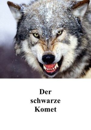 Der schwarze Komet | Bundesamt für magische Wesen