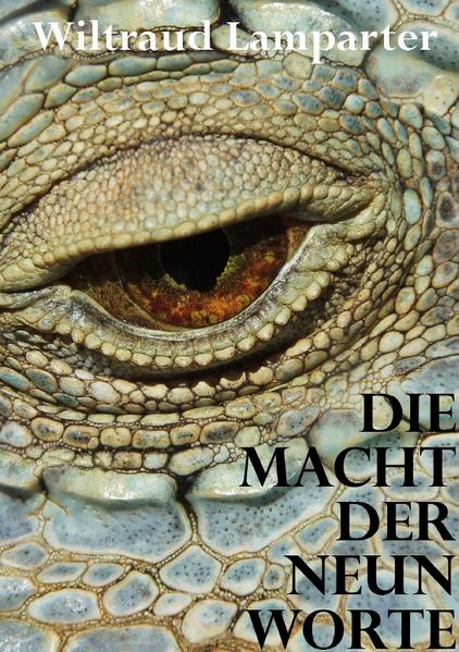 Peter Meyer blickte auf das warm eingewickelte Dino- Menschen- Baby in seinem Arm, das sich augenscheinlich wohl fühlte und mit einem wohligen Seufzen einschlief. Vorsichtig legte er es auf das Bett. „Was nun?“ fragte Monika. „Wir können es nicht behalten!“ Ihr Gatte blickte sie erstaunt an: „Wir müssen es behalten! Stellt euch nur mal vor, jemand anderes erblickt dieses Wesen! Die Presse, das Krankenhaus, die Behörden - wir hätten keine ruhige Minute mehr! Das Baby würde einem Test nach dem anderen unterzogen werden, denkt doch mal an das arme Wesen!“ Schließlich waren alle damit einverstanden, dass nichts an die Öffentlichkeit gelangen sollte. Es würde nicht einfach werden, aber Familie Meyer hielt zusammen, wie immer.