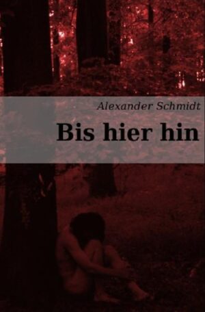 Bei „Bis hier hin“ handelt es sich um eine Sammlung hauptsächlich lyrischer Texte, die das literarische Schaffen eines jugendlichen Lebensjahrzehnts umfassen. Eine Reihe faszinierender Motive werden darin aufgegriffen. Sie erstrecken sich von ernsthaften, existenziellen Themen bis hin zu verspielten, magischen Bildern und Geschichten fantastischer Wesen und Welten.