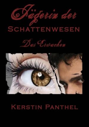 Phoebe Forester ist 19 als sie Dorian Pollos kennenlernt. Er und seine Schwester Germaine sind die Letzten einer vermutlich uralten Familienlinie. Einer Vampirlinie. Und sie ist die zurzeit letzte Jägerin der Pollos'. In ihr schlummern bislang unentdeckt enorme Fähigkeiten und es wartet eine Aufgabe auf sie, an die zahllose Generationen vor ihr unausweichlich gebunden waren. Kommt eine unaufhaltsame Lawine ins Rollen indem Dorian sich Phoebe nicht nur nähert, sondern ihr darüber hinaus sogar ihre Begabungen eröffnet? Und was wird der Eingeweihte, Phoebes Grandpa Franklin unternehmen, der die Jägerin in ihrer Aufgabe instruieren und auf deren Realisierung beharren muss?