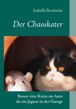 Seit sieben Monaten ist Isabella nun in festen Pfoten. Sir Henry Veneziano von Gukamien, Sohn von Sir Herbie, dem Legendären, und Sherry Lady, der Charakterkatze, hat ihr Leben seit seinem Einzug ordentlich auf den Kopf gestellt. Ihr Mobiliar und das fast neue Laminat in rote Erle sind innerhalb von zwei Wochen um Jahrzehnte gealtert. Ihre Arme und Beine sind übersät von Kratzern. Die Schnürsenkel an ihren Stiefeln sind durchgekaut und ausgefranst oder unter dem Sofa verschwunden. Ihre Strumpfhosen haben Laufmaschen, und aus ihren Pullovern hängen lose Fäden. Wer hat sie gezwungen, diesen Wahnsinnigen aufzunehmen? „Wer Spaß an Sprache, Sprachspiel und Katzen hat, braucht es ganz dringend […]. 21 abgeschlossene, komische bis dramatische Episoden aus dem ereignisreichen ersten Beziehungsjahr von Mensch und Tier laden zum Lachen und zum Nachdenken ein.“ Struppi 2010/03 über „Der Chaoskater“ Band 1