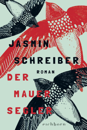 Menschen träumen vom Fliegen, wovon träumt ein Mauersegler? Vielleicht vom Fallen, so wie wir an der Grenze zwischen Wachsein und Schlaf. Im freien Fall befindet sich auch Prometheus nach dem Tod seines besten Freundes. Wir treffen ihn, als er nach einer überstürzten Flucht vor Polizei, Familie und sich selbst am dänischen Strand aufschlägt. Der Mauersegler erzählt von einem Mann, der unter seiner Schuld zu zerbrechen droht. Und von zwei Frauen, die wenig Fragen stellen - wie alle Menschen, die ihre eigenen Geheimnisse haben.