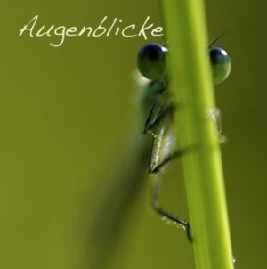 Die Magie des Augenblicks steht im Mittelpunkt dieses Buches. Die Ästhetik und Schönheit der Natur ist festgehalten in faszinierenden Fotographien. Zusammen mit lyrischen, besinnlichen Texten laden sie dazu ein, ganz präsent zu sein und bei dem Moment zu verweilen.