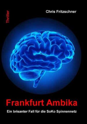 Frankfurt Ambika Ein brisanter Fall für die SoKo Spinnennetz | Chris Fritzschner