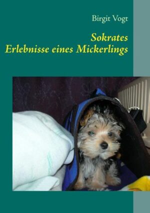 In diesem Buch erzählt der kleine Mischlingshund Soki aus seinem Leben. Nicht alles, was ihm in seinem ersten Lebensjahr widerfahren ist, war schön und lustig. Es gab auch Tage, da stand er nicht gerade auf der Sonnenseite des Lebens. Trotzdem hat er es immer geschafft an das Gute zu glauben. Er hat auch in schwierigen Situationen immer irgendwo ein Licht am Ende des Tunnels gesehen. Heute ist er ein fröhlicher, kleiner Kerl, der manchmal aussieht, als würde er in die Welt hinaus lächeln. Einfach mal entspannen und die Seele baumeln lassen