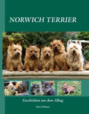 Der Norwich Terrier Geschichten aus dem Alltag mit unseren kleinen Lieblingen, unterlegt mit vielen schönen Fotos