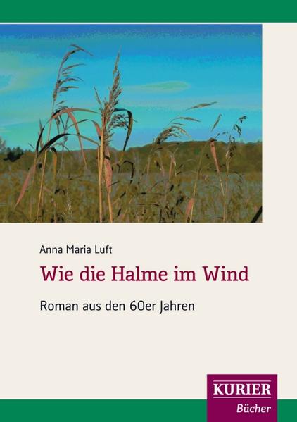 Die Geschichte, die 1963 beginnt, erzählt von einer 19jährigen temperamentvollen jungen Frau, die mit ihren Eltern in einer fränkischen Kleinstadt lebt. Sie versucht, ihr Leben selbst zu bestimmen und will den Erwartungen ihres Vaters, einen branchekundigen Mann zu ehelichen, nicht entsprechen. Sein Sohn, der vorgesehene Erbe des Bauunternehmers, ist vor vierzehn Jahren ums Leben gekommen. Unfall oder Freitod? Ulrikes idealistische Vorstellungen von Liebe und Freundschaft werden auf eine harte Probe gestellt. Nach einer Enttäuschung, aber auch wegen der ständigen Konfrontation mit dem Vater, verlässt sie ihre Heimat. Doch im Ausland gerät sie in eine bedrohliche Situation, was ihre vorzeitige Rückkehr nach Hause bewirkt. Daheim schlägt sie ein neues Kapitel in ihrem Leben auf. Sie heiratet. Doch ihre Ehe wird von Eifersuchtsszenen und Problemen des Alltags belastet. Auch gibt es in der Familie ihres Mannes ein Geheimnis. Viel Unvorhergesehenes muss nun bewältigt werden. Mit etwas Glück übersteht sie auch eine Flugzeugnotlandung. Die Folgen sind noch lange spürbar. Eine Freundin aus ihrer Kindheit taucht eines Tages zu ihrer großen Freude in Ebersfelden auf. Dieses Ereignis bringt das Familienleben etwas durcheinander. Wird Ulrike einmal ruhigeren Zeiten entgegensehen?