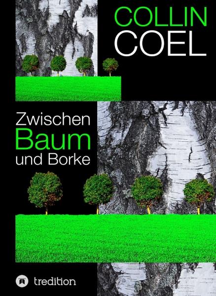 Aus der Orgie religiöser Pluralität à la Hawaii und Washington wird nix. Hat das buddhistische Disneyland zuvor schon für reichlich Unmut gesorgt, ist mit dem Bau der Moschee die Kacke unstreitig am Dampfen. Halb Zug steigt auf die Barrikaden, macht entschieden und mit Nachdruck gegen den Stadtpräsidenten, einen glühenden Sozialdemokraten, Front. In Sonderheit Exbundespräsident im Ruhestand Wunderlich senior, der Ätti, wie er liebevoll vom Sohnemann, dem erfolgreichen Weinhändler, genannt wird. Einem überzeugten Christdemokraten und praktizierenden Katholiken wie ihm ist die dräuende Islamisierung der Schweiz durch und durch ein Dorn im Auge. Kaspar Krieg, dem Bundespräsidenten und Departementsleiter für Verteidigung, Bevölkerungsschutz und Sport, kommt die Islamophobie der Landsleute indes ungemein zupass. Für den von jeher kriegslüsternen Kerl, einen gnadenlosen Interventionisten, scheint nämlich nun die Zeit reif zu sein, die ausgetretenen Pfade zu verlassen und mit ferngesteuerten Robotern und Drohnen alle Welt das Fürchten zu lehren. Ruth Keller, Departementsleiterin für auswärtige Angelegenheiten und Konstruktivistin, vermag der Reorganisation des Schweizer Militärs freilich nichts abzugewinnen. Vielmehr versucht sie nach besten Kräften, dem Regierungskollegen Einhalt zu gebieten. Nicht zuletzt deshalb, weil der Knilch auf Rache sinnt, als ihn der türkische Premier ungeniert ein Schwein heißt. Die Satire prangert die kulturelle Engstirnigkeit der Eidgenossen an, verurteilt ihre religiöse Intoleranz aufs Schärfste. Zwar ist die Ambivalenz der Religion nichts Neues, weil Ausdruck der menschlichen Natur, grade drum ist es aber unerlässlich, ihr auf den Zahn zu fühlen, zumal dann, wenn mit der unseligen Verbindung von Staat und Religion, mit Totalitarismus und Fundamentalismus Unheil ins Haus steht.