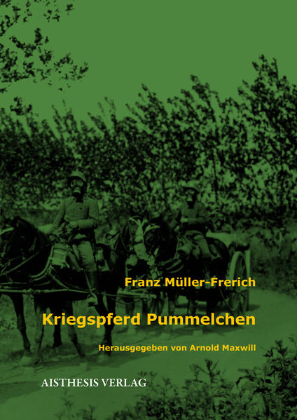 Antikriegsliteratur