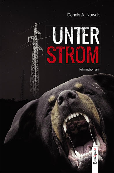 Unter Strom | Dennis A. Nowak