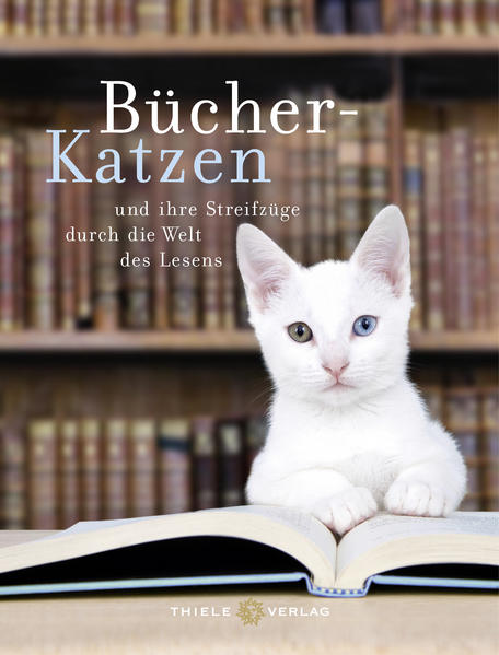 Beunruhigende Nachrichten erschütterten die Branche: Laut einer Studie des Börsenvereins gingen dem Buchhandel von 2012 bis 2016 über 6 Millionen Buchkäufer verloren. Doch die Rechnung wurde ohne die IntensivLeser und Leserinnen und Kunden begeistern werden.