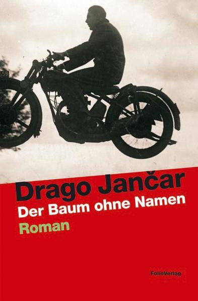 Die Memoiren eines nach Australien ausgewanderten Erotomanen ziehen den Archivar Janez Lipnik in ihren Bann. Er beginnt, sich mit dessen Bekenntnissen näher zu befassen und gerät in den Strudel einer Geschichte, die im besetzten Jugoslawien der 1940er-Jahre ihren Ausgang nimmt.