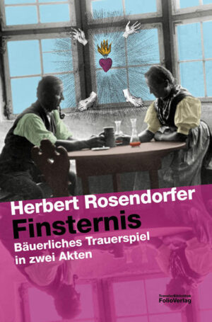 Schauplatz: das Tiroler Dorf Kösten am See um 1850. Rosalie Altmann hat jeden Freitag Visionen, sie zeigt ihre Wundmale und verkauft Fürbitten gegen bare Gulden. In diesen Jahrmarkt der Wundertätigkeiten, Heiligsprechungsverfahren und Geschäftemacherei gerät der Italienreisende Dr. Grau, Oberlandesgerichtsrat aus Naumburg an der Saale, und findet alles andere als eine herzliche Aufnahme. Der aufgeklärte Protestant ist vor allem dem bischöflichen Visitator und Exorzisten Monsignore Piffrader, einem hab- und fressgierigen eitlen Pfaffen, ein Dorn im Auge, und er unternimmt alles, um Dr. Grau loszuwerden. Als der Monsignore sich von der Wahrsagerin seine Bischofsnachfolge weissagen lässt, überstürzen sich die Ereignisse. Finsternis ist ein Stück, in dem zwei Lebenshaltungen aufeinanderprallen: alpine Wundergläubigkeit und obrigkeitsgelenkte Heuchelei versus aufgeklärten, vernunftgeleiteten nordischen Geist.