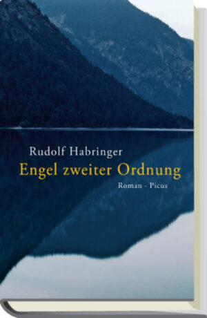 Durch Zufall trifft Arnold Walter, ein Universitätsprofessor in Regensburg, seine Jugendliebe Katharina wieder. Beide sind längst verheiratet und haben sich, mehr oder weniger zufrieden, in ihren Leben eingerichtet. Bei Arnold löst die flüchtige Begegnung aber eine Obsession aus, und er setzt alles daran, Katharina wiederzusehen - weshalb er den Privatdetektiv Seisenbacher engagiert, sie zu finden. Während es Arnold auf diese Weise gelingt, den Kontakt mit Katharina wieder aufzunehmen, und eine zarte Affäre beginnt, wird er plötzlich erpresst. Ohne Katharina davon in Kenntnis zu setzen, macht Arnold sich auf, den Erpresser zu stellen, was für alle Beteiligten ungeahnte Konsequenzen mit sich bringt. Wiederauflebende Gefühle, eine geheime Romanze und ein Privatdetektiv, der seine eigenen Interessen verfolgt, entwickeln in Rudolf Habringers neuem Roman eine Dynamik, die bald außer Kontrolle gerät: Nach und nach verweben sich die Geschichte des Privatdetektivs und jene des Paares und erzählen ein menschliches Drama, in dessen Zuge man an diesen 'Engeln zweiter Ordnung' immer wieder das Besondere, das Verletzliche, aber auch das Skurrile entdeckt.